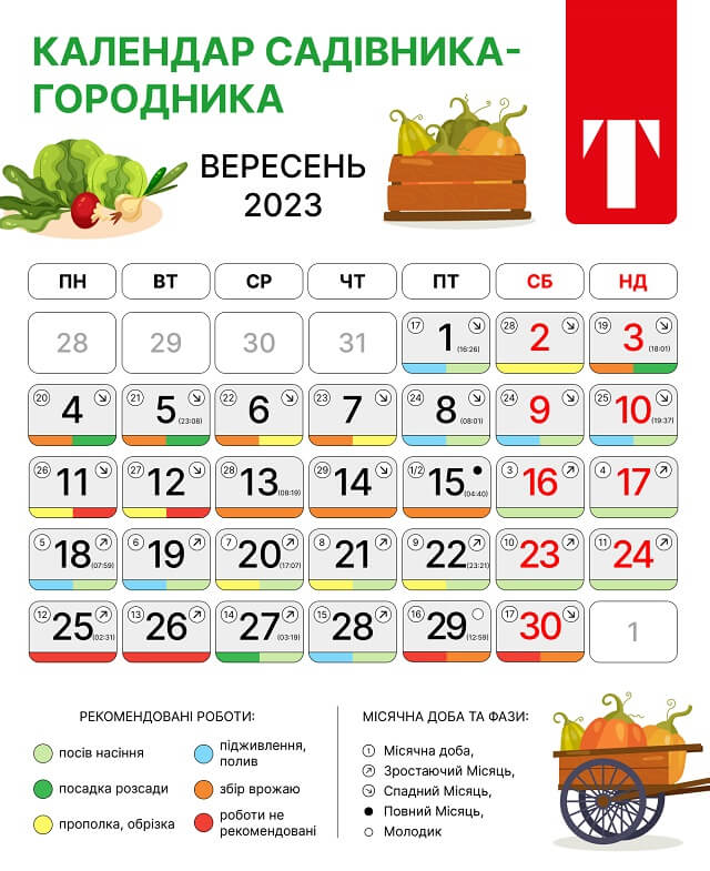 Місячний посівний календар на вересень 2023