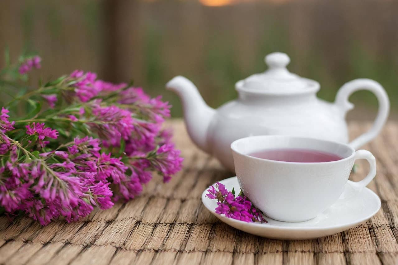 Іван-чай унікальні властивості, користь, використання