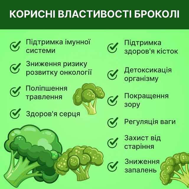 Корисні властивості броколі