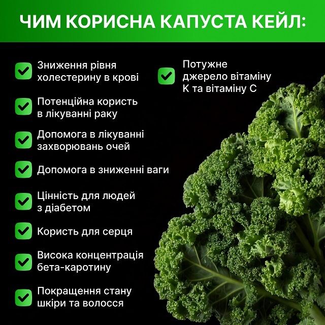 Капуста кейл користь