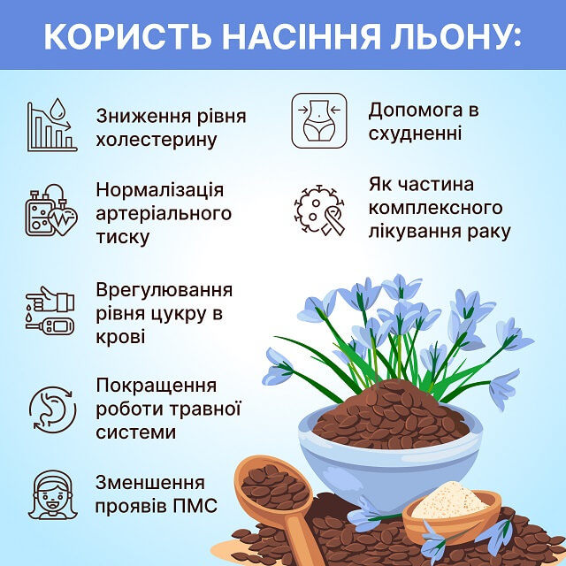 Користь насіння льону