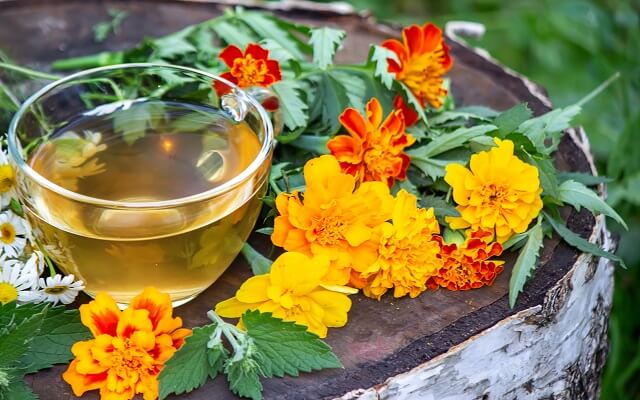 Чай з чорнобривців користь і шкода