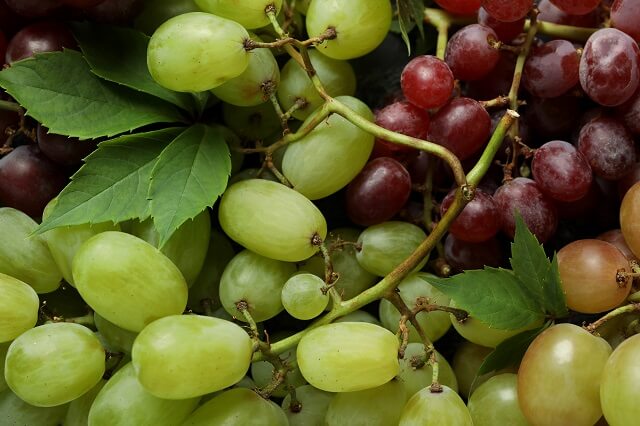 Чи можна їсти виноград при цукровому діабеті