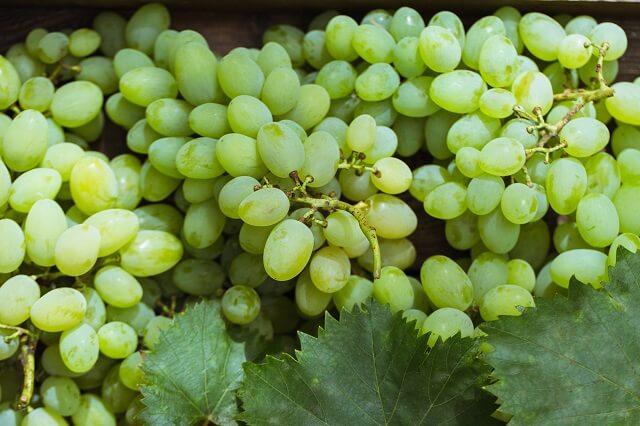 Шкода від вживання винограду