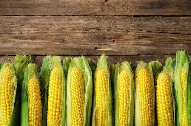 Калорійність кукурудзи