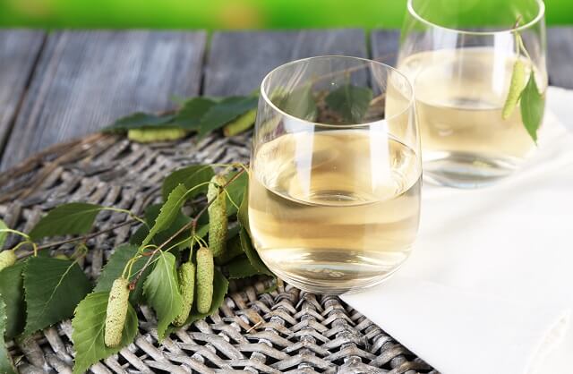 Коли збирають березовий сік